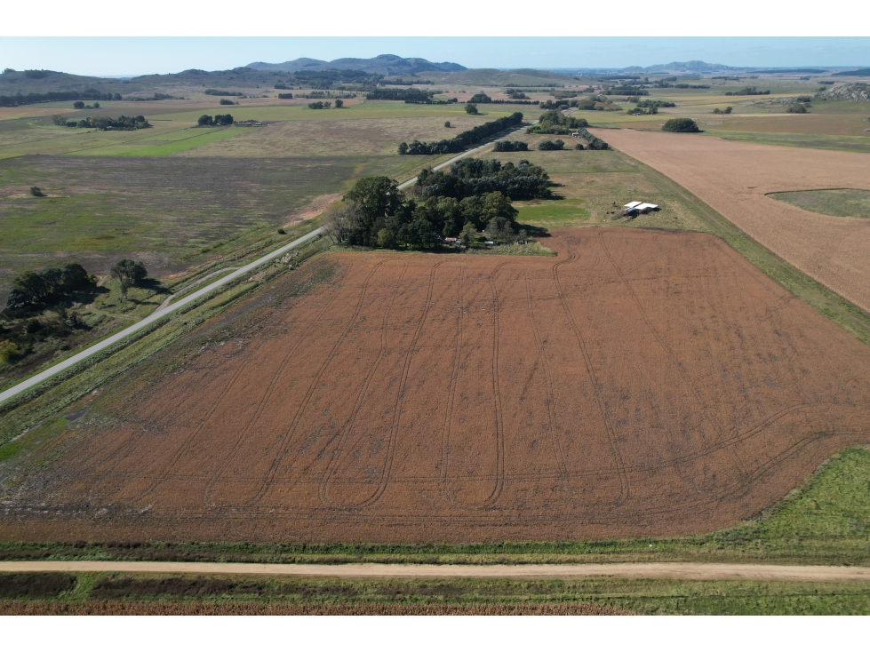 EN VENTA TERRENOS 11600 METROS ZONA RURAL TANDIL - 3