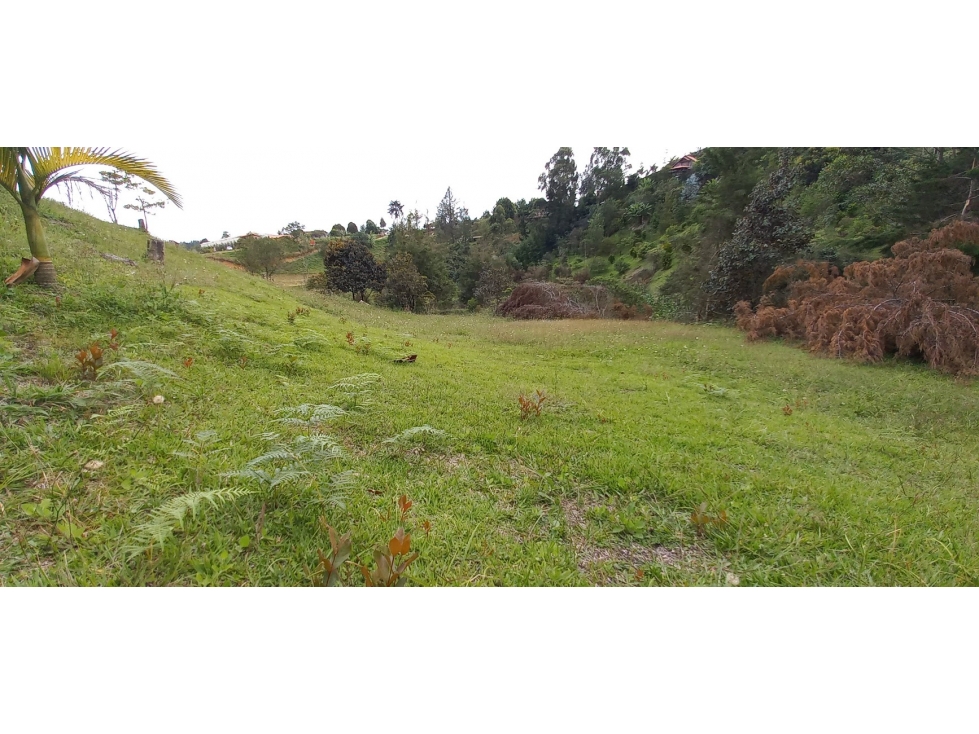 VENTA DE LOTE INDEPENDENTE VEREDA CHAPARRAL SAN VICENTE — foto 2
