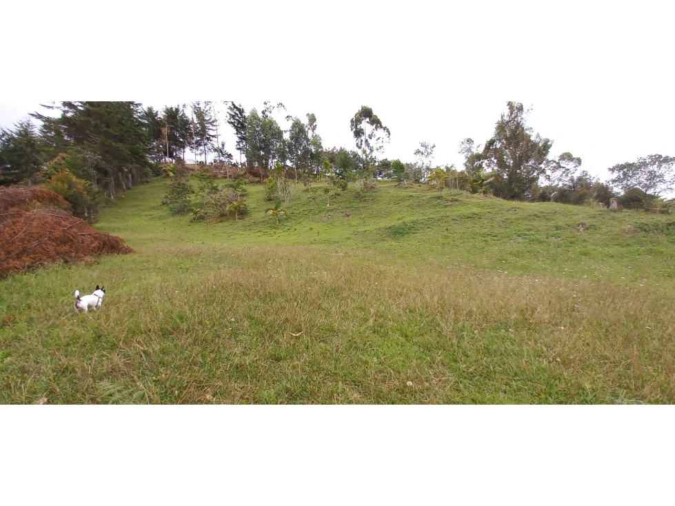 VENTA DE LOTE INDEPENDENTE VEREDA CHAPARRAL SAN VICENTE — foto 3