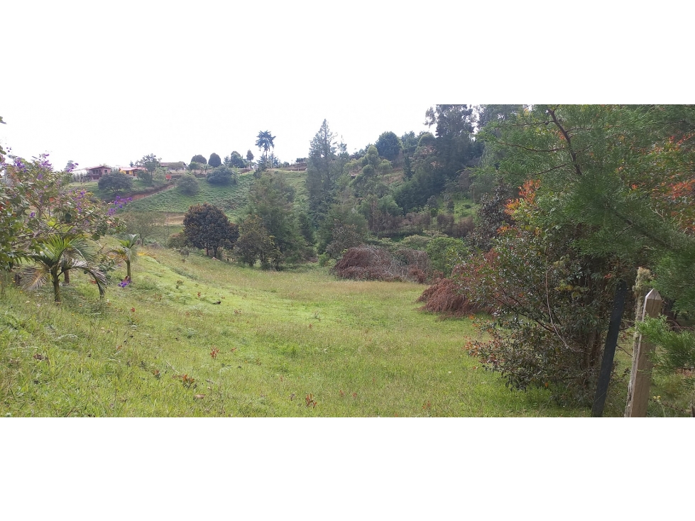 VENTA DE LOTE INDEPENDENTE VEREDA CHAPARRAL SAN VICENTE — foto 4