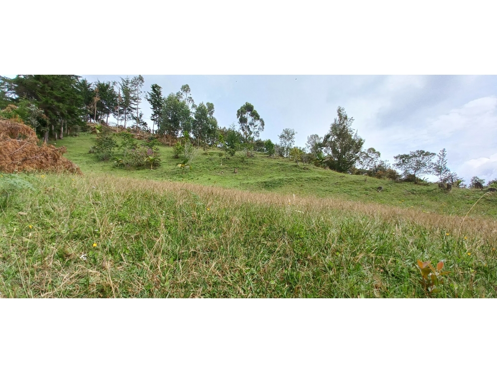 VENTA DE LOTE INDEPENDENTE VEREDA CHAPARRAL SAN VICENTE — foto 5