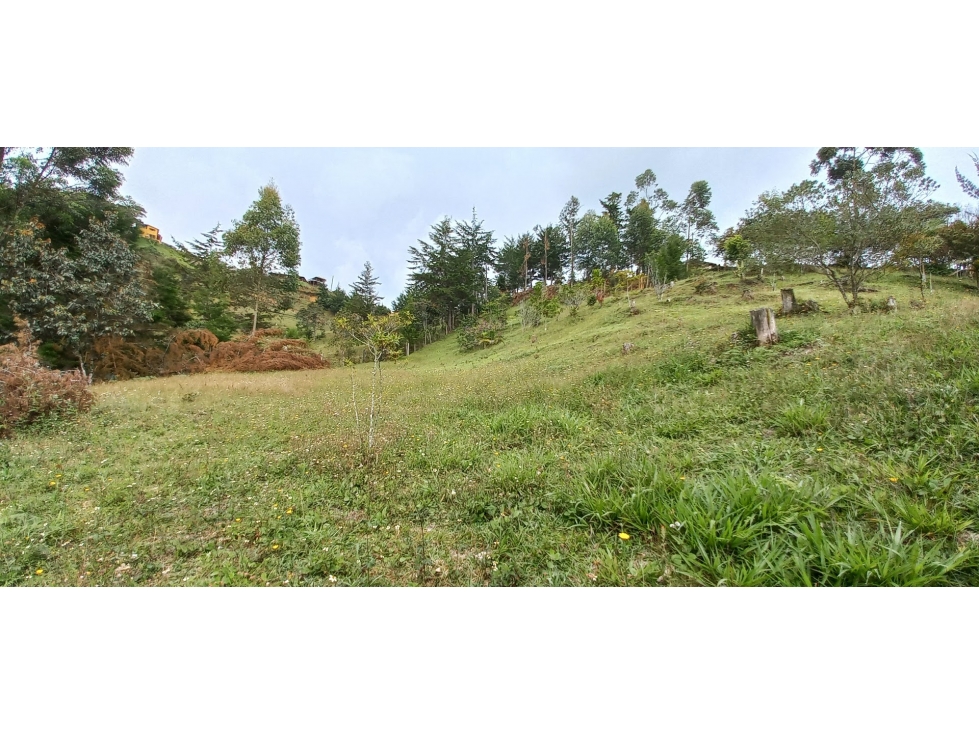 VENTA DE LOTE INDEPENDENTE VEREDA CHAPARRAL SAN VICENTE