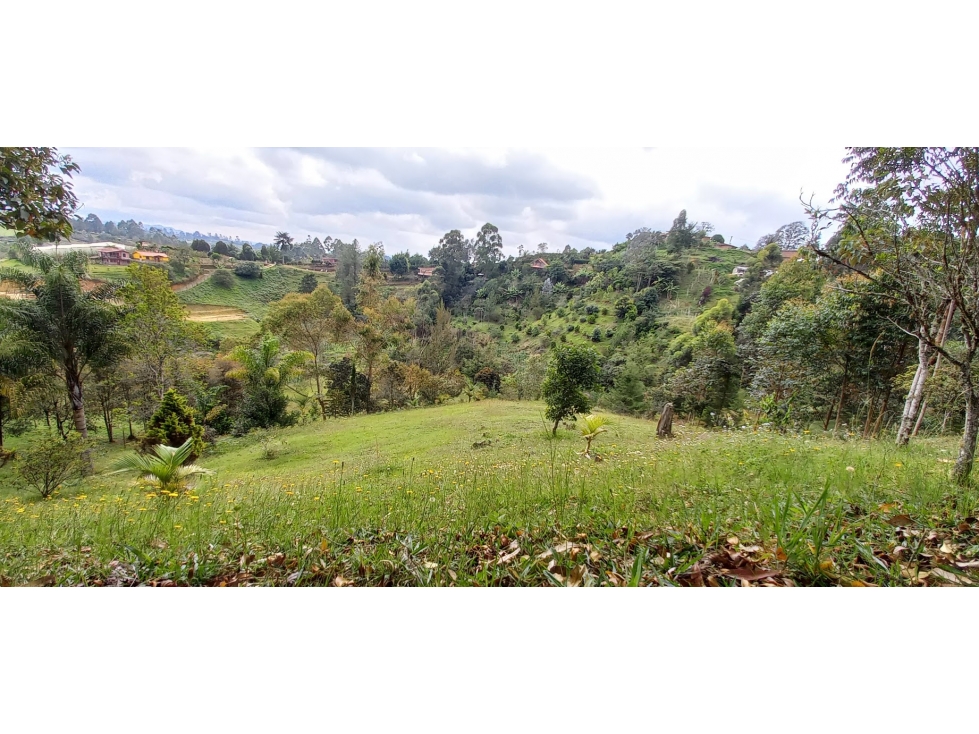 VENTA DE LOTE INDEPENDENTE VEREDA CHAPARRAL SAN VICENTE — foto 6