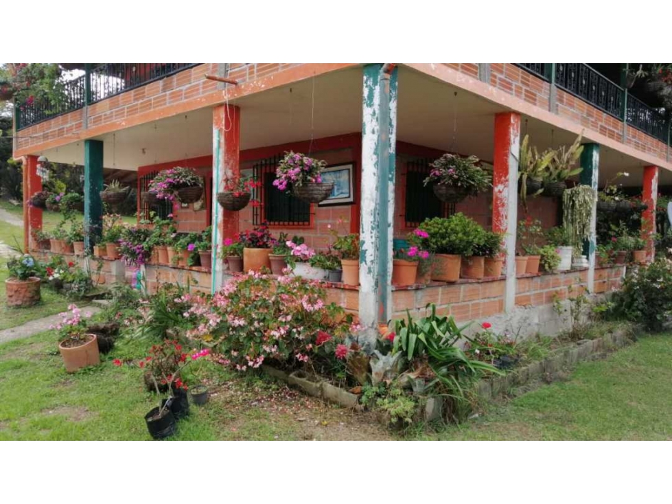 FINCA EN GUARNE CHAPARRAL RICA EN POTENCIAL — foto 6