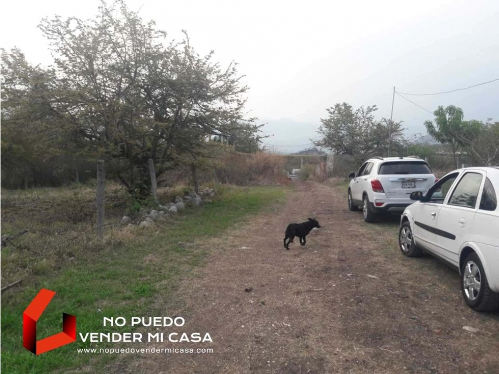 500m2 DE TERRENO A UN COSTADO DE LA UPEMOR. - 2