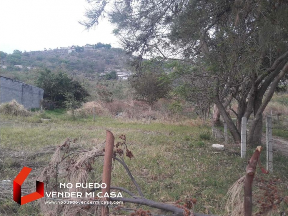 500m2 DE TERRENO A UN COSTADO DE LA UPEMOR. - 3