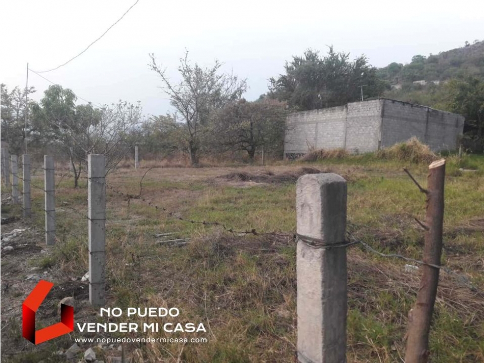 500m2 DE TERRENO A UN COSTADO DE LA UPEMOR. - 4