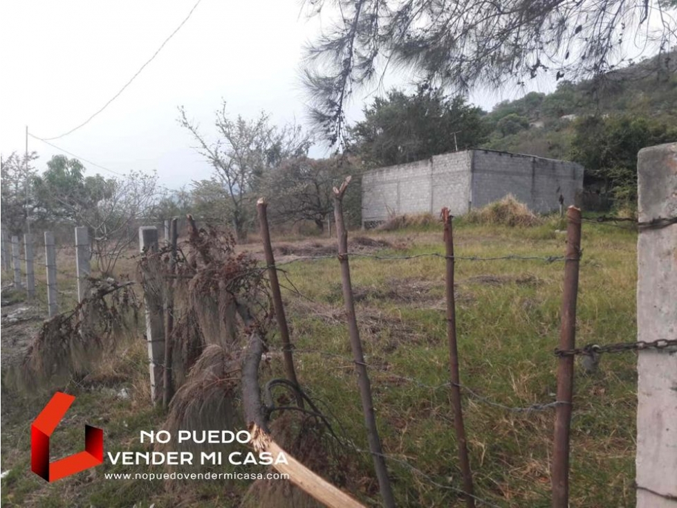 500m2 DE TERRENO A UN COSTADO DE LA UPEMOR. - 5