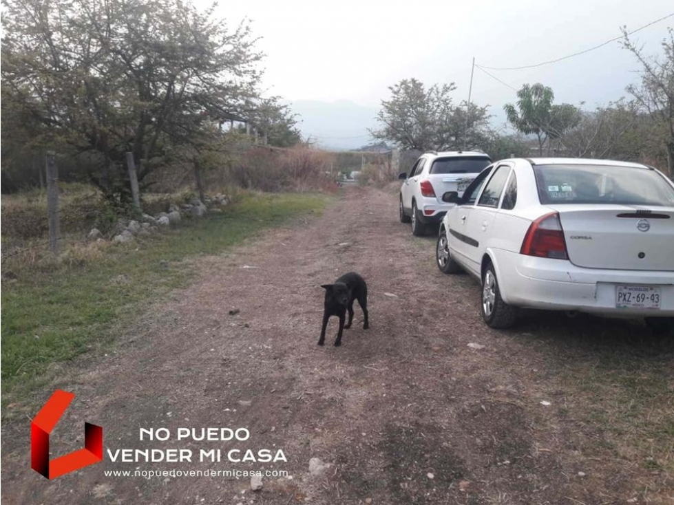 500m2 DE TERRENO A UN COSTADO DE LA UPEMOR. - 6