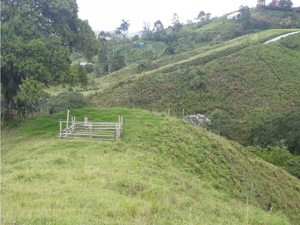 Lote campestre en Filandia con hermosa vista - 1