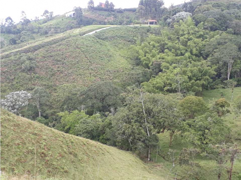 Lote campestre en Filandia con hermosa vista - 2