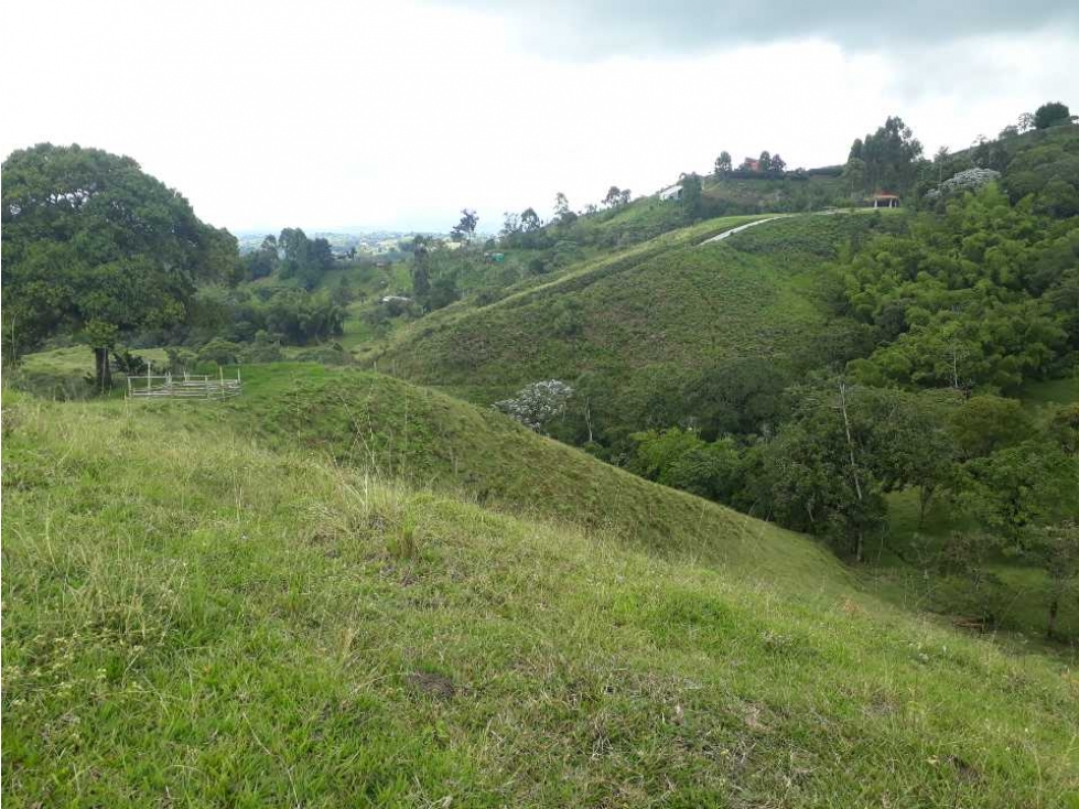 Lote campestre en Filandia con hermosa vista - 3