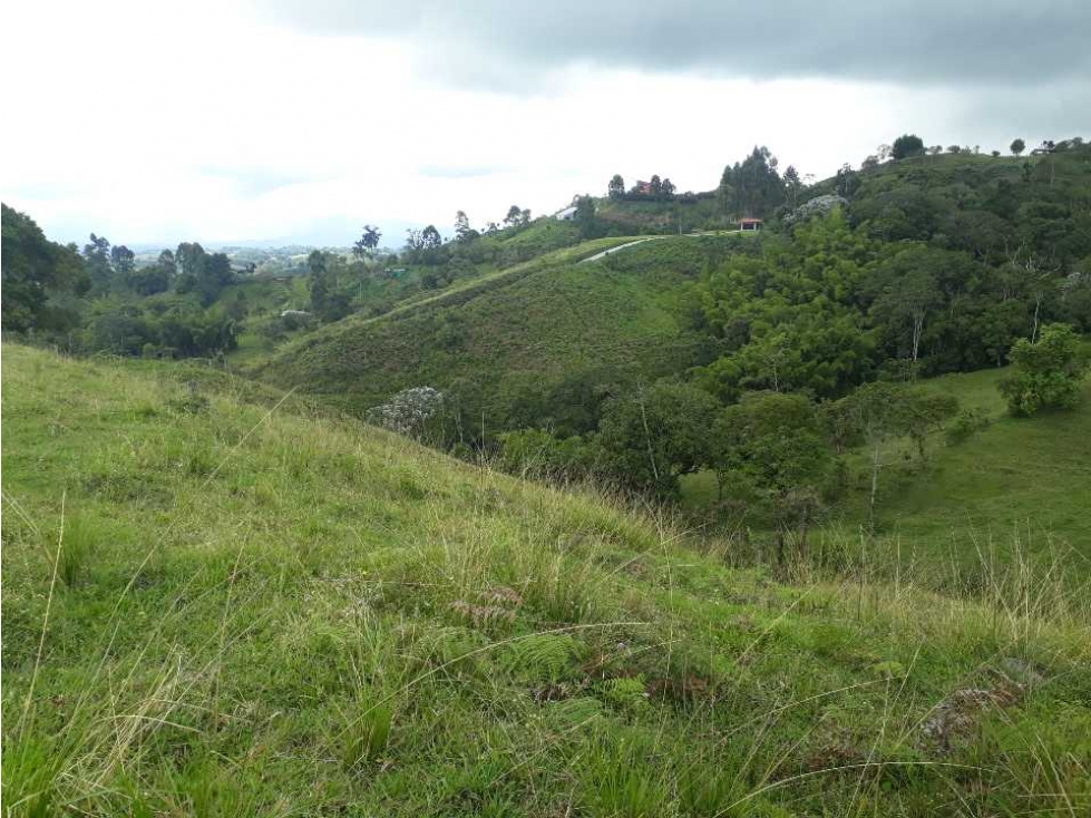 Lote campestre en Filandia con hermosa vista - 5