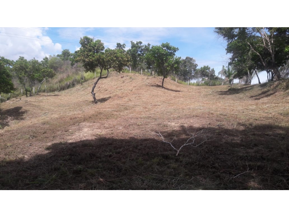 Lote campestre para la venta en Melgar con uso mixto - 2