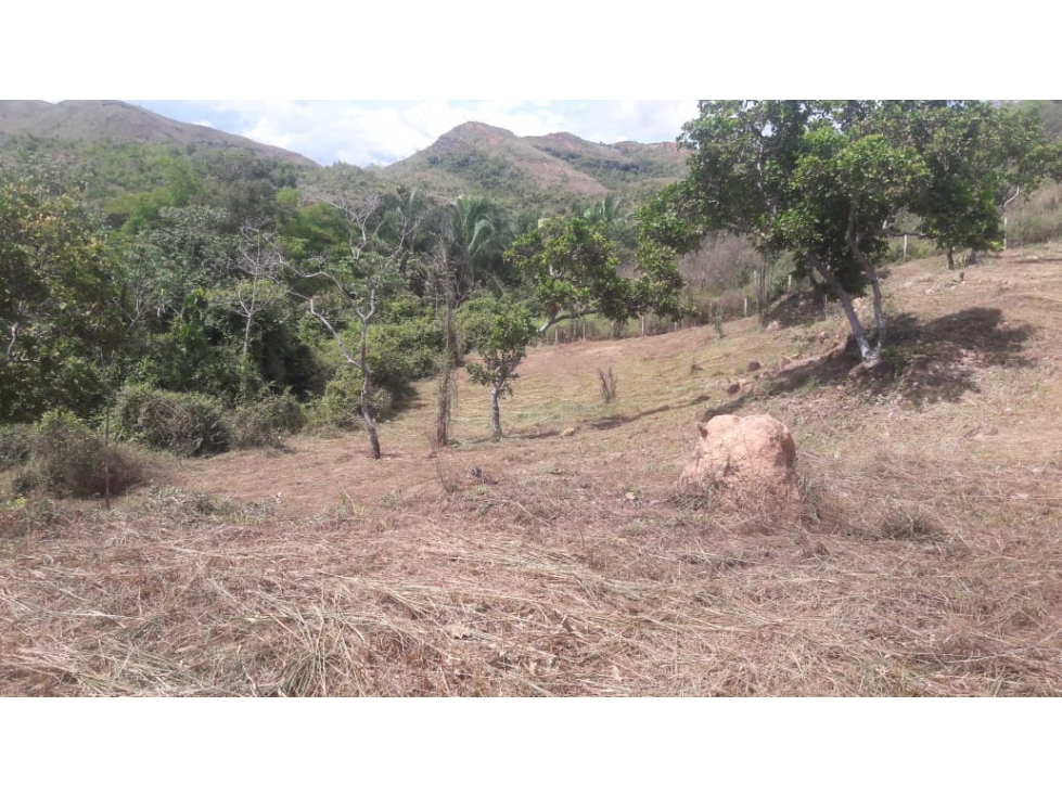 Se vende Lote campestre en Melgar con uso mixto - 4