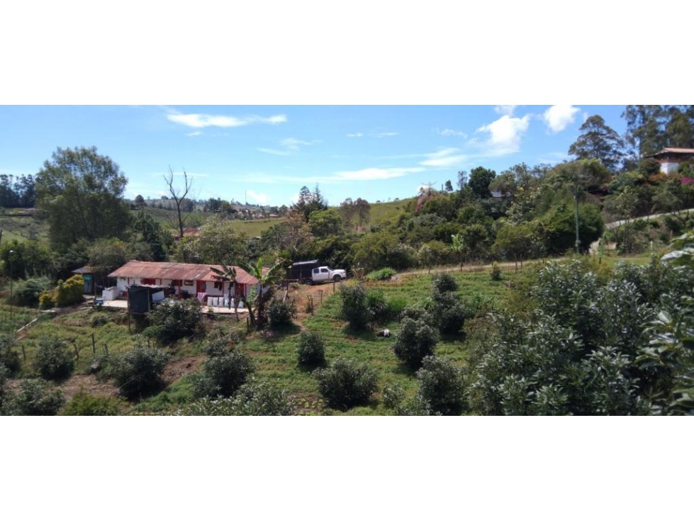 Finca en Venta en Marinilla - 3
