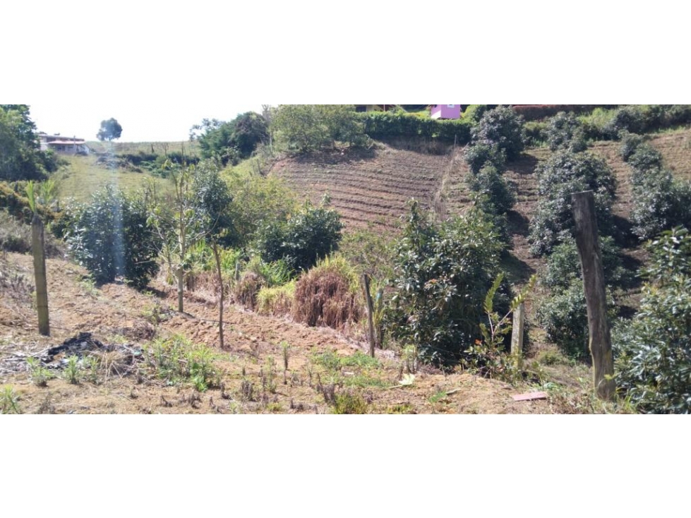 Finca en Venta en Marinilla - 6