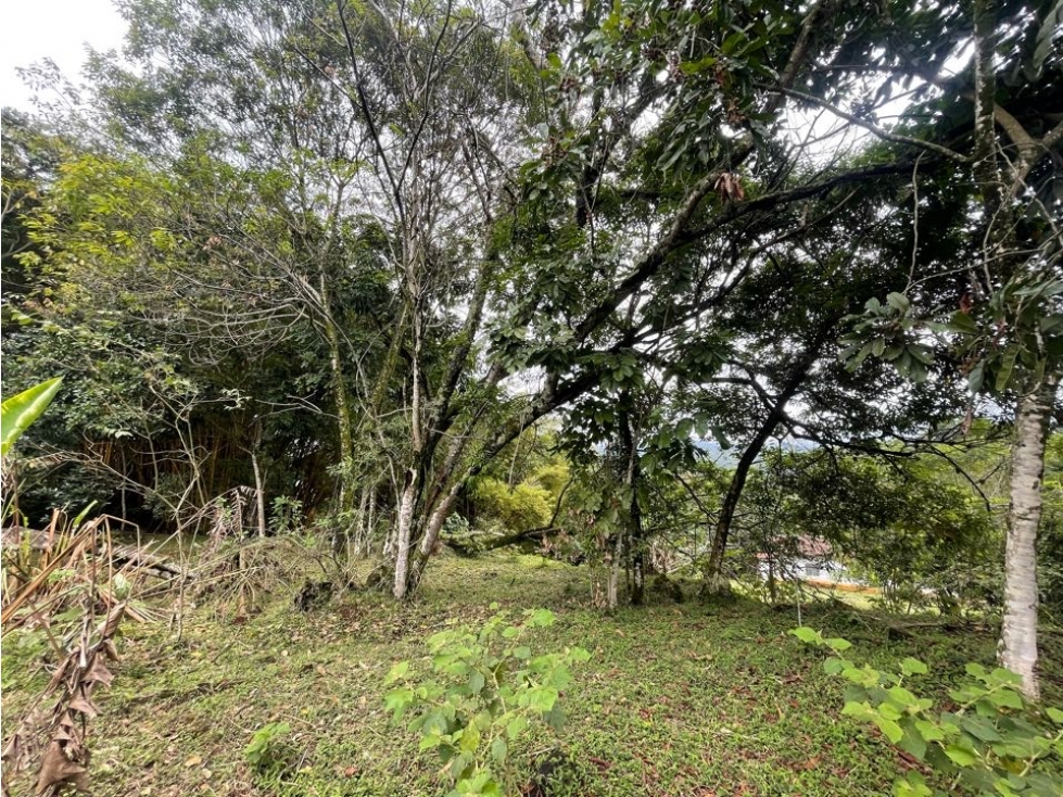 Lote en venta La Buitrera AMS.6749334 - 3