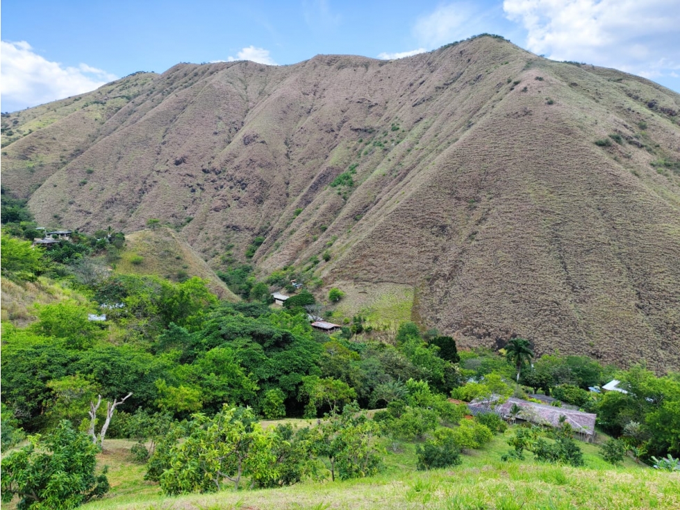 FINCA PRODUCTORA AGUACATE EN VENTA VIJES AMS.6749532 - 1