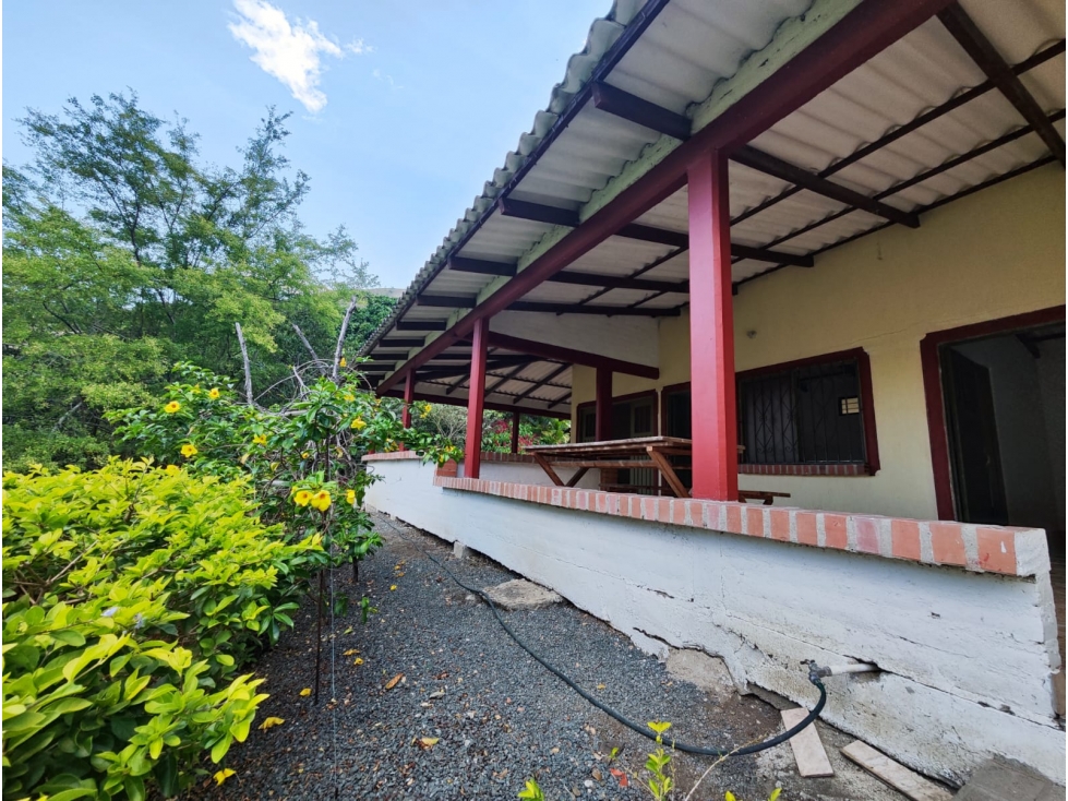 FINCA PRODUCTORA AGUACATE EN VENTA VIJES AMS.6749532 - 3