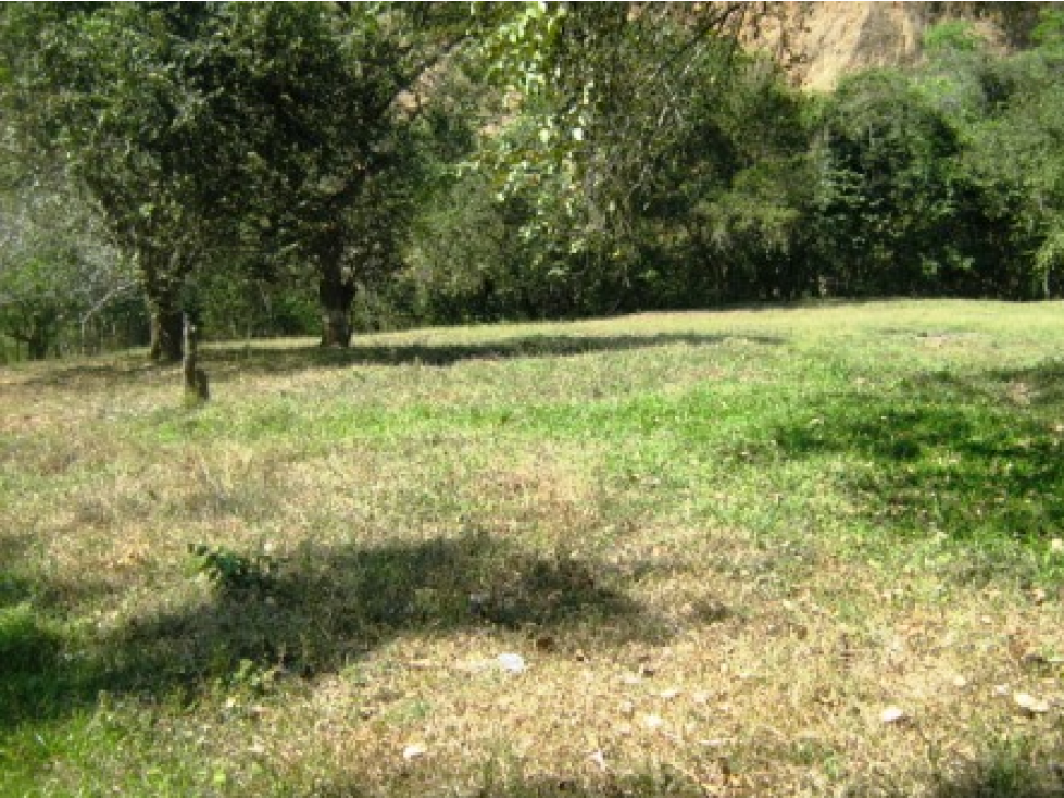 Lote en Sopetran se aporta para nuevo desarrollo