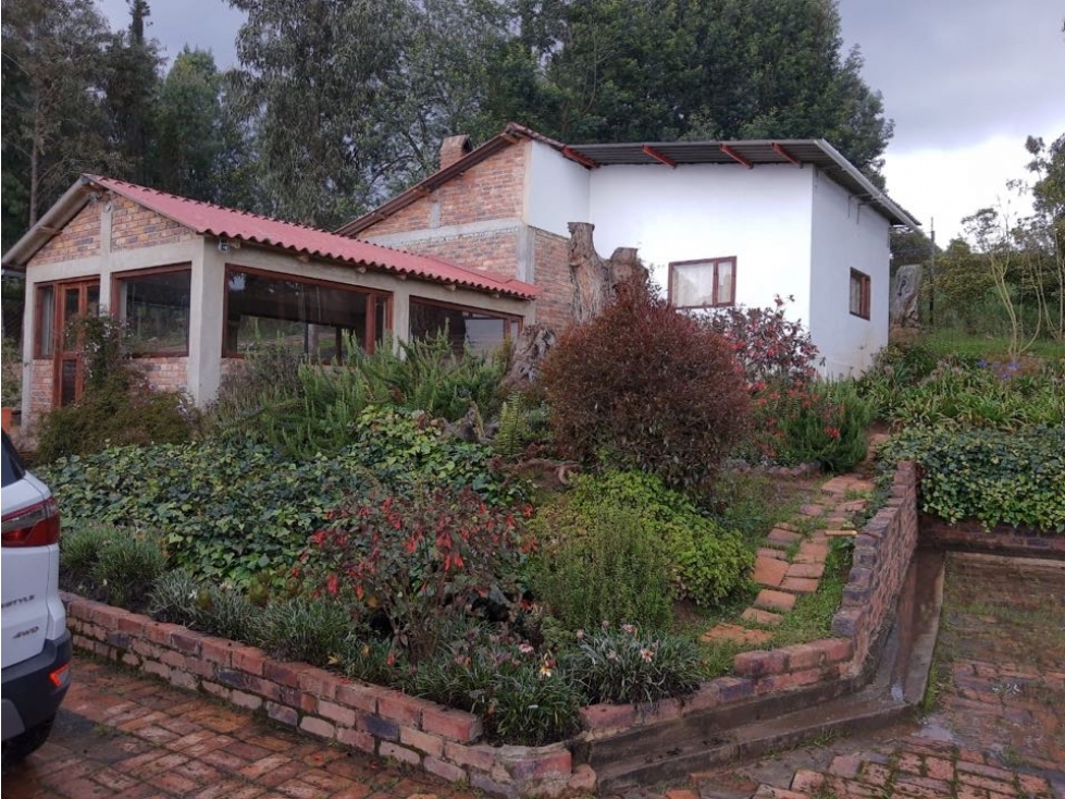 VENTA FINCA CASA 200 m2 + 5000m2 TERRENO TAUSA - 2