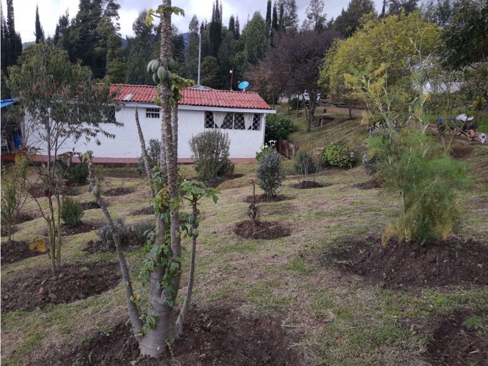 VENTA FINCA CASA 200 m2 + 5000m2 TERRENO TAUSA - 5