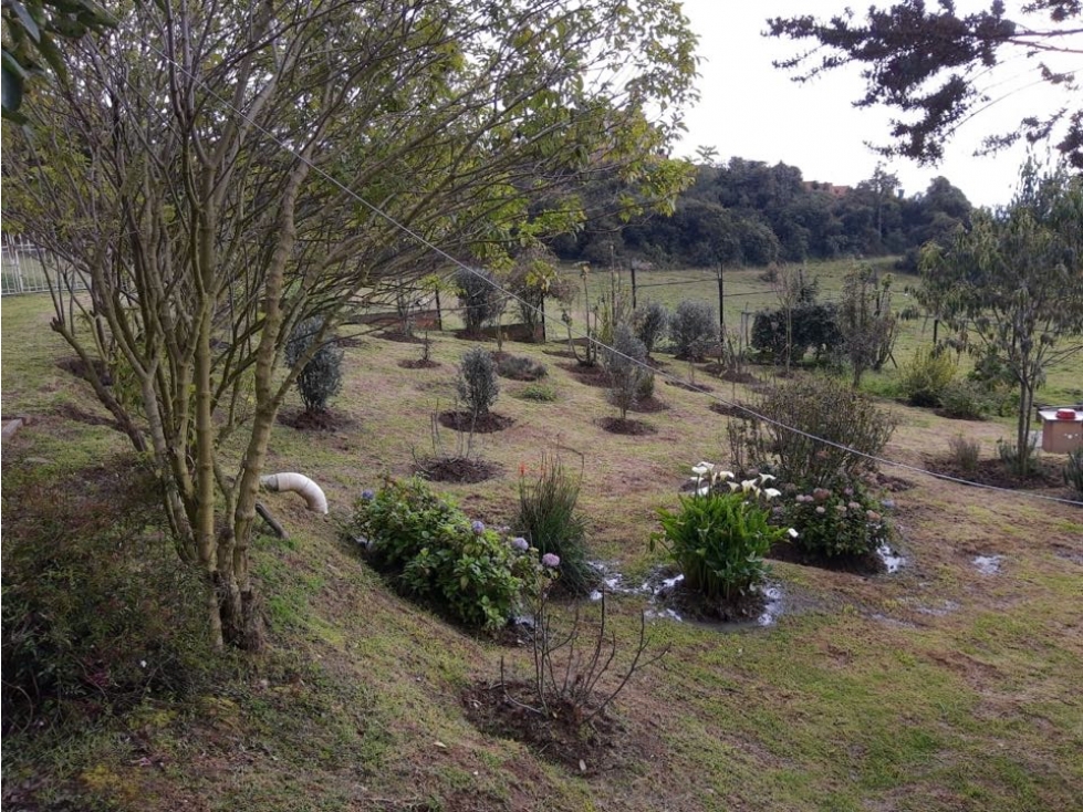 VENTA FINCA CASA 200 m2 + 5000m2 TERRENO TAUSA - 6