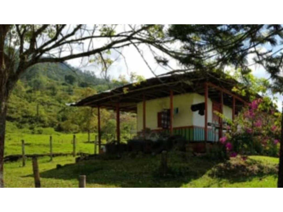 Finca en Calarca de 114 cuadras - 1