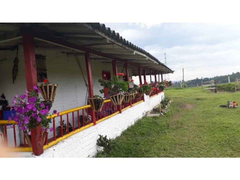 Finca ganadera para la venta en Circasia - 1