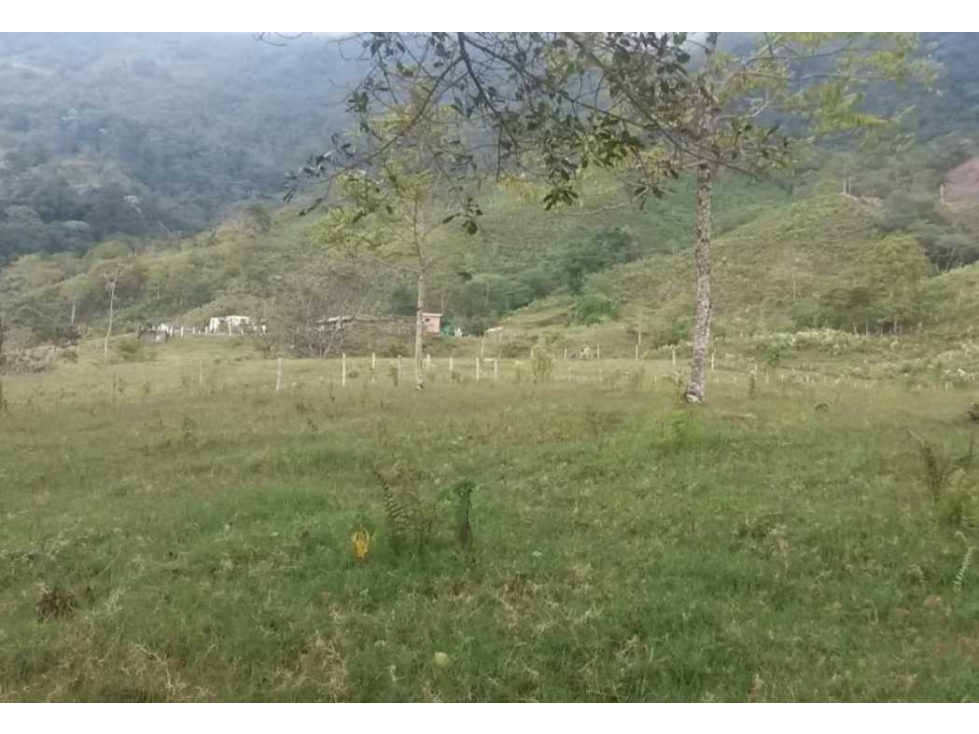 Finca en Calarca de 114 cuadras - 6