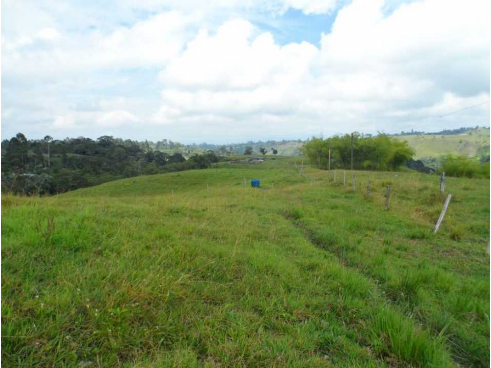 Finca ganadera para la venta en Circasia - 6
