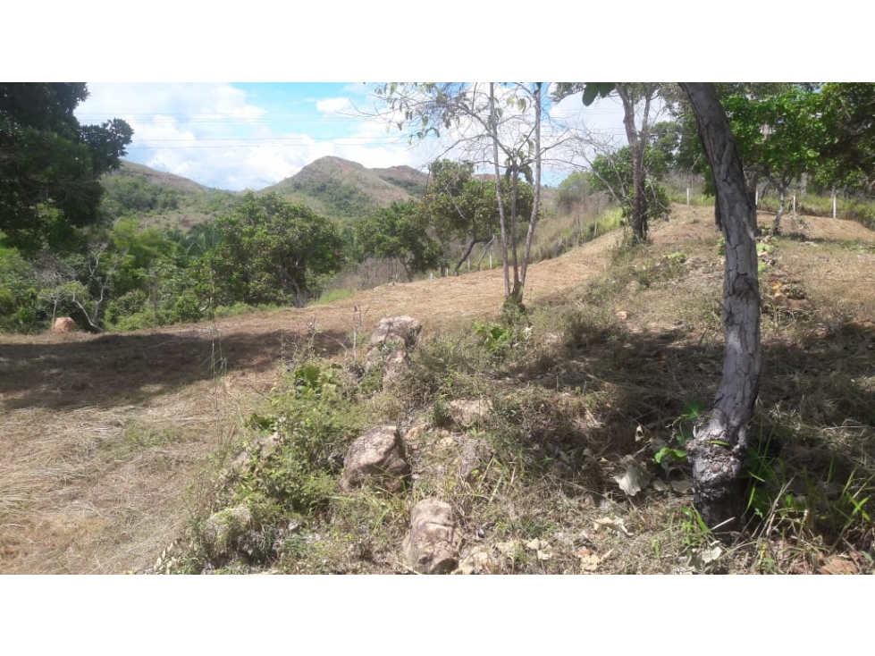 Lote campestre para la venta en Melgar con uso mixto - 3