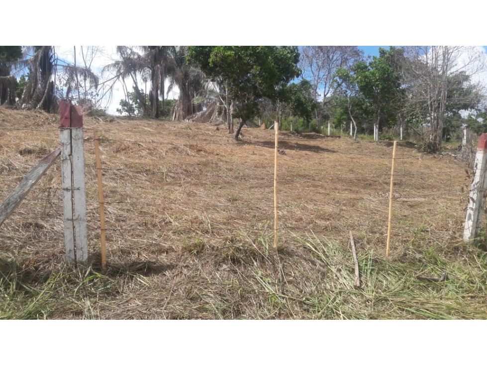 Lote campestre para la venta en Melgar con uso mixto - 6
