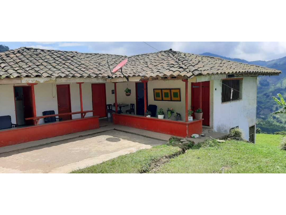 Finca cafetera para la venta vereda el chuzo Santa Rosa de Cabal - 1