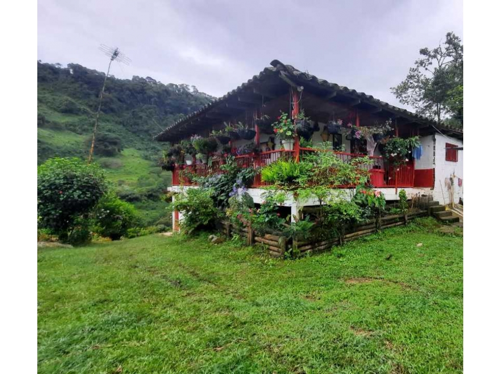 Finca productiva para la venta en San Isidro Valle 13 cuadras - 1