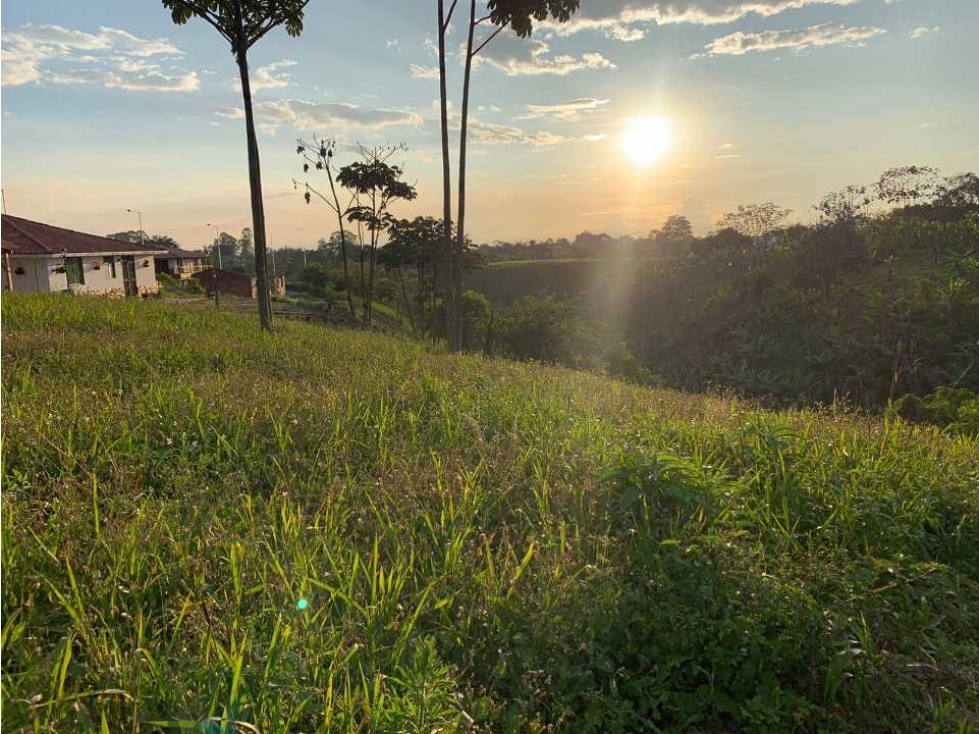 Lote campestre para la venta en calarca con vista a la cordillera - 2