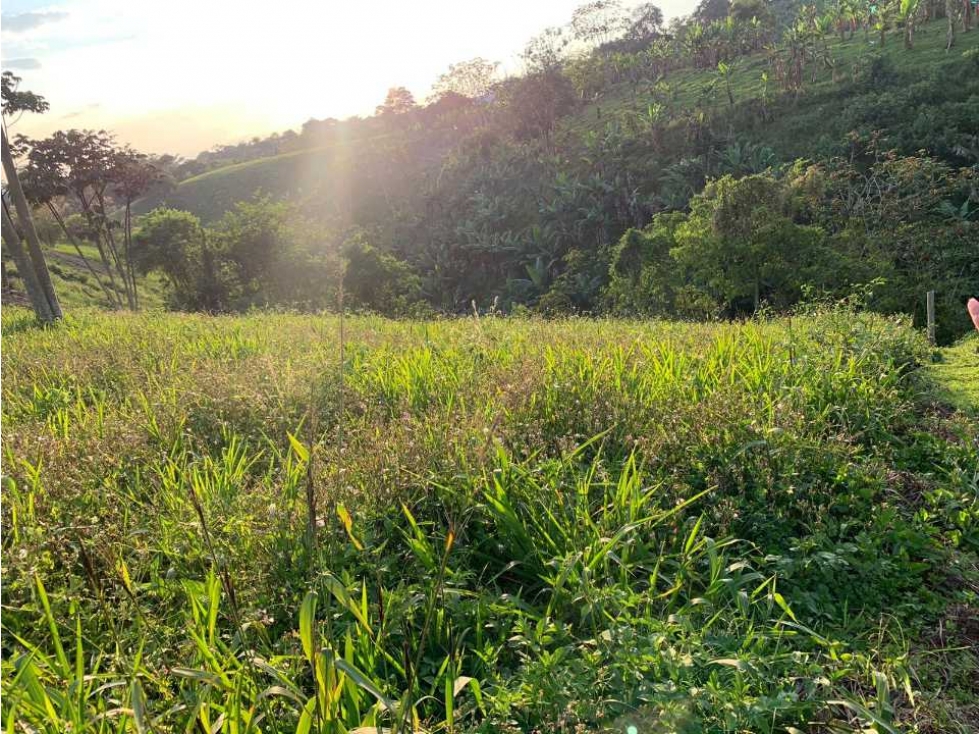 Lote campestre para la venta en calarca con vista a la cordillera - 3