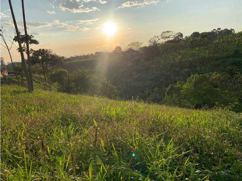 Lote campestre para la venta en calarca con vista a la cordillera - 4