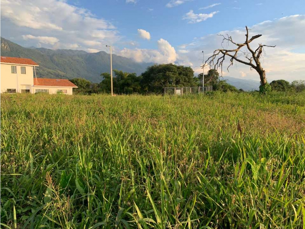 Lote campestre para la venta en calarca con vista a la cordillera - 5