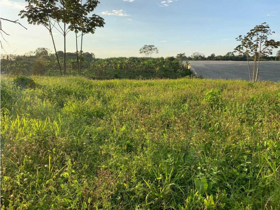 Lote campestre para la venta en calarca con vista a la cordillera - 6