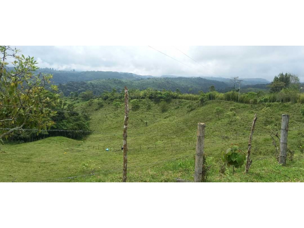 Lote para la venta en filandia con nacimiento de agua bosque y vista - 2