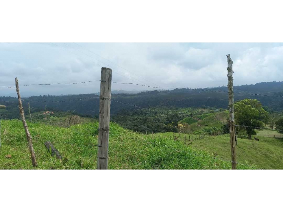 Lote para la venta en filandia con nacimiento de agua bosque y vista - 3