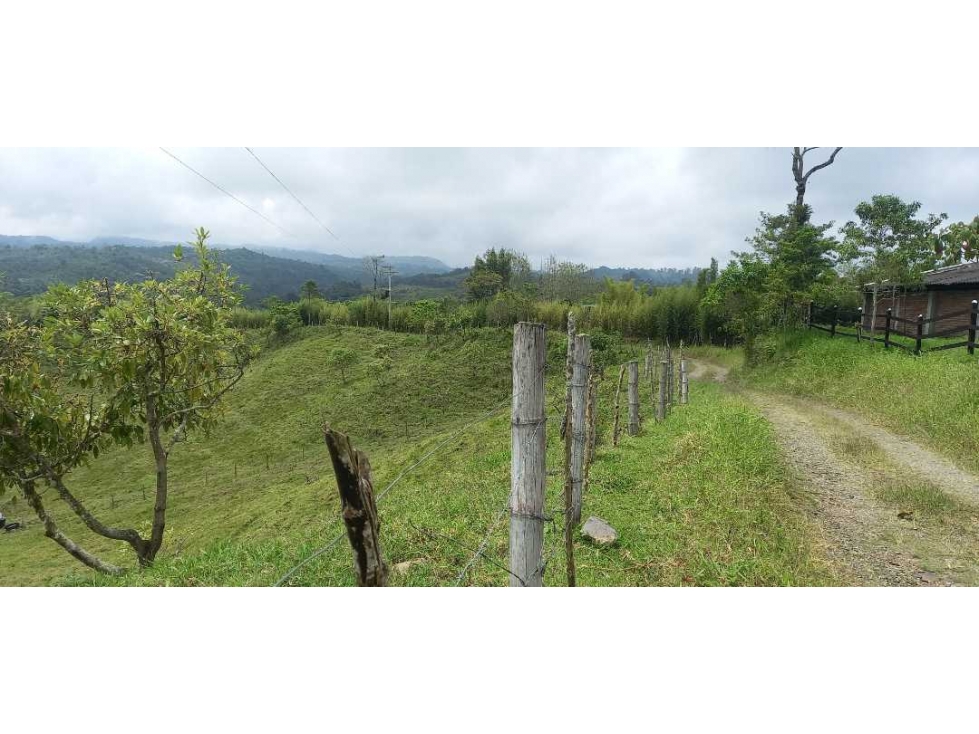 Lote para la venta en filandia con nacimiento de agua bosque y vista - 5