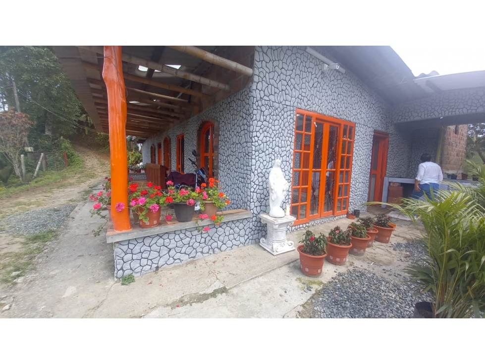 Finca para la venta en Filandia vía a Quimbaya - 5