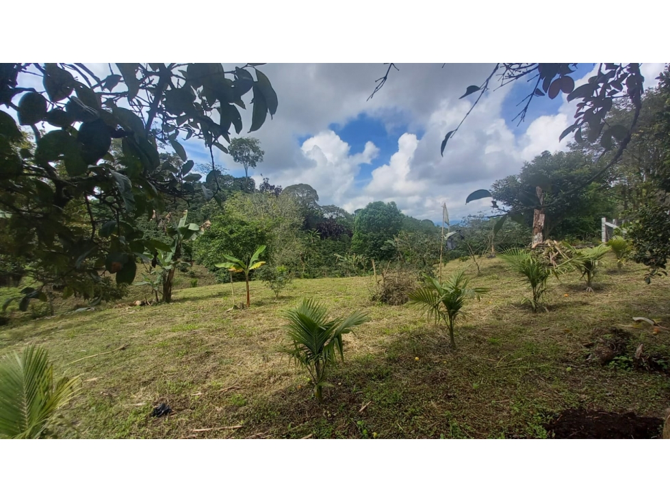Finca para la venta en Filandia vía a Quimbaya - 6