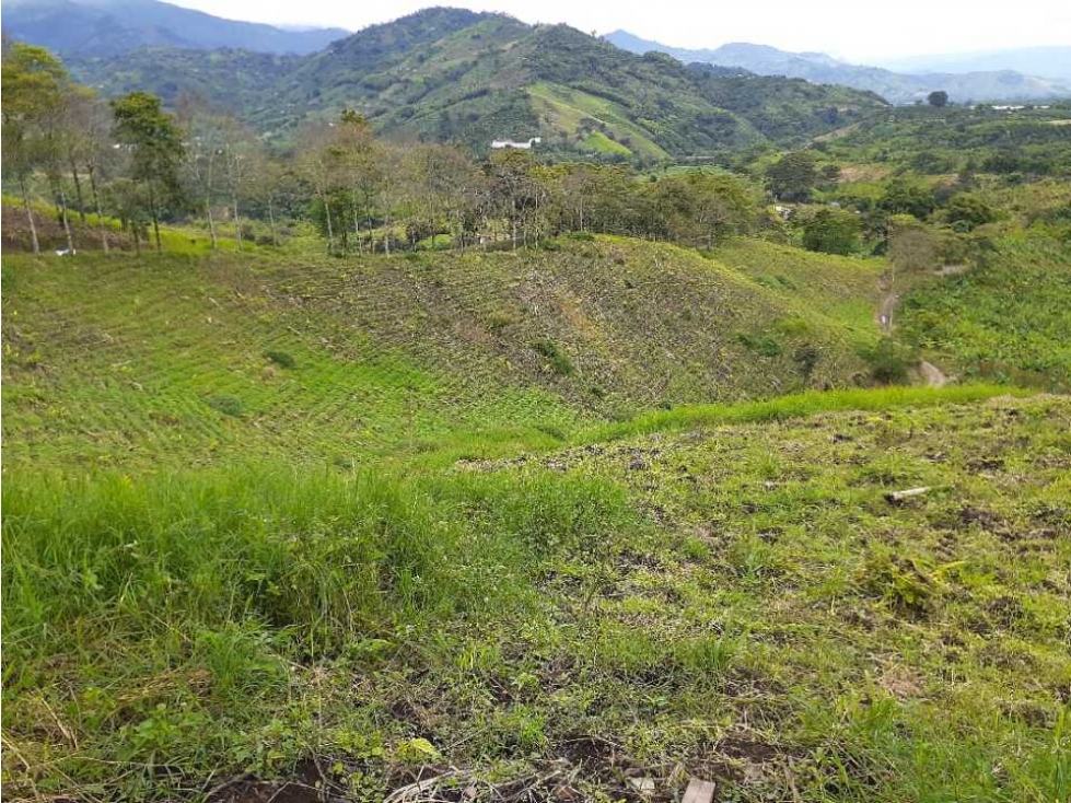 Finca en calarca para la venta 63 cuadras espectacular vista - 5