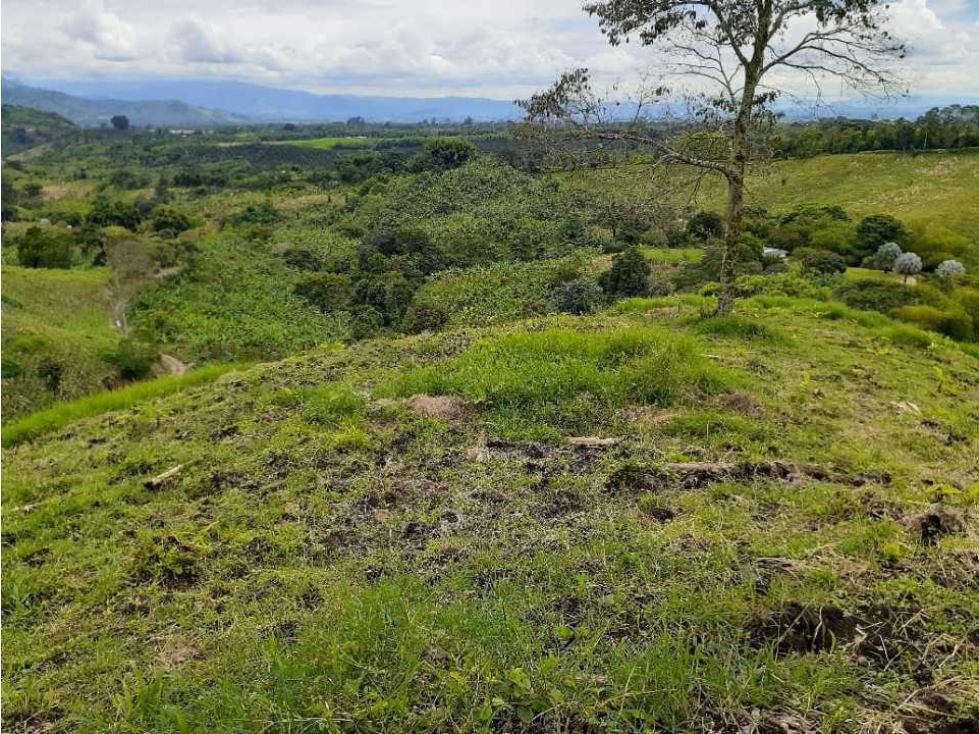 Finca en calarca para la venta 63 cuadras espectacular vista - 6