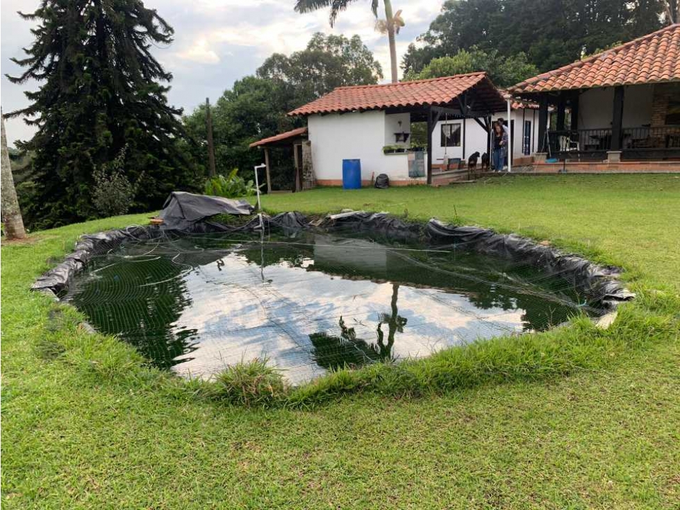 Hermosa casa campestre con excelente vista a 10 minutos de Circasia - 4