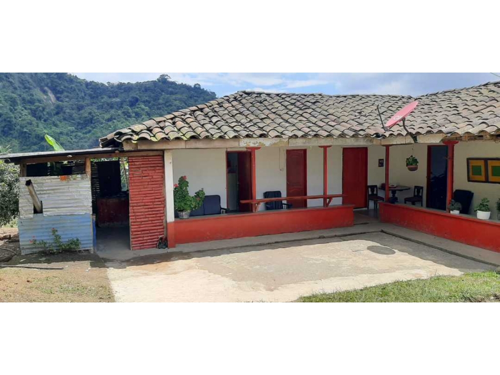 Finca cafetera para la venta vereda el chuzo Santa Rosa de Cabal - 2